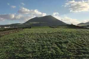 Rural/Agricultural land for sale in Muñique, Teguise, Lanzarote. 
