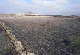 Terres agricoles vendre en Muñique, Teguise, Lanzarote. 