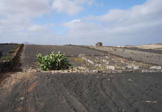 Rural/Agricultural land for sale in Tinajo, Lanzarote. 